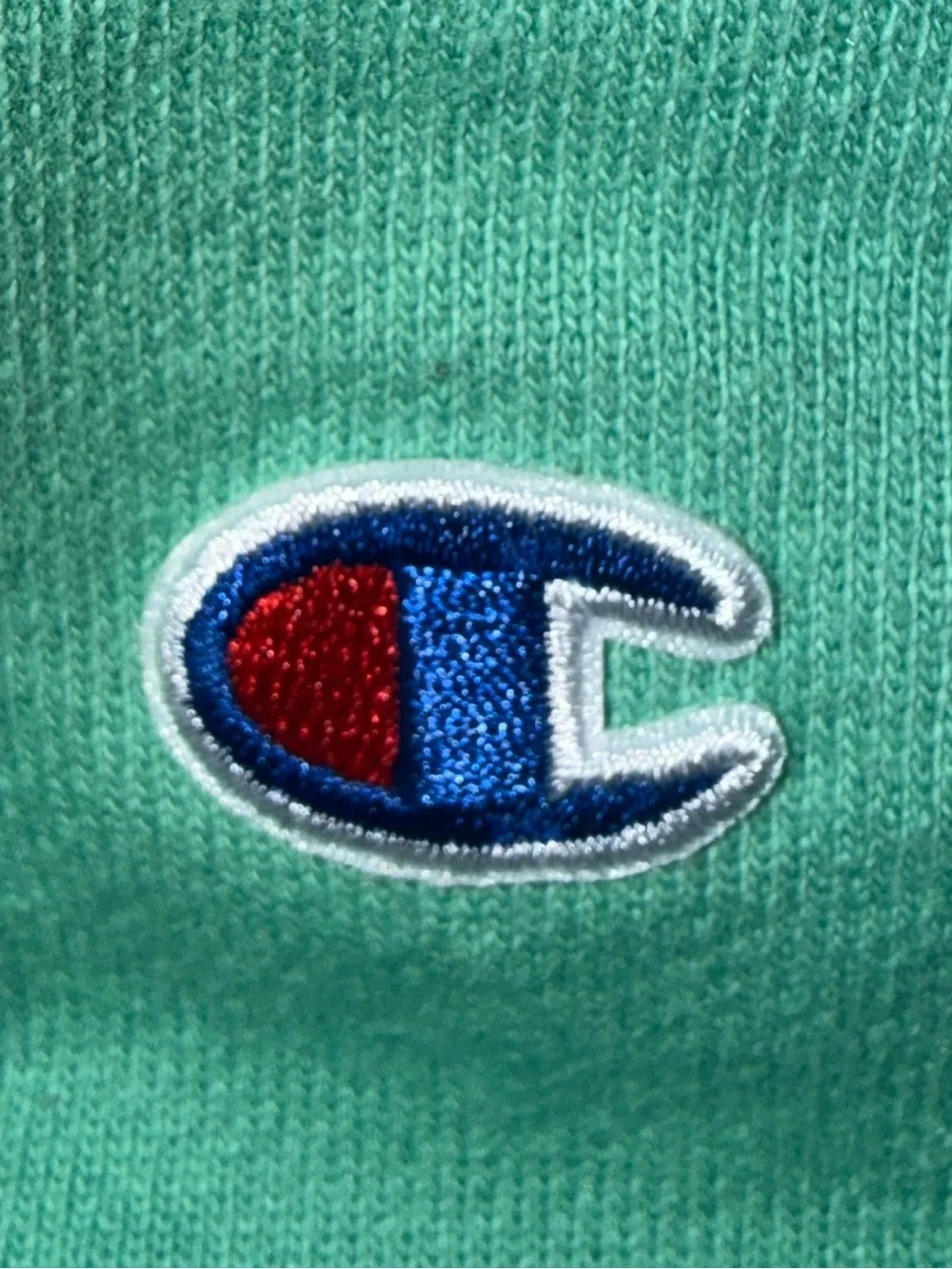 Champion Reverse Weave Blank Heavyweight Pullover Hoodie Mint Green Size M